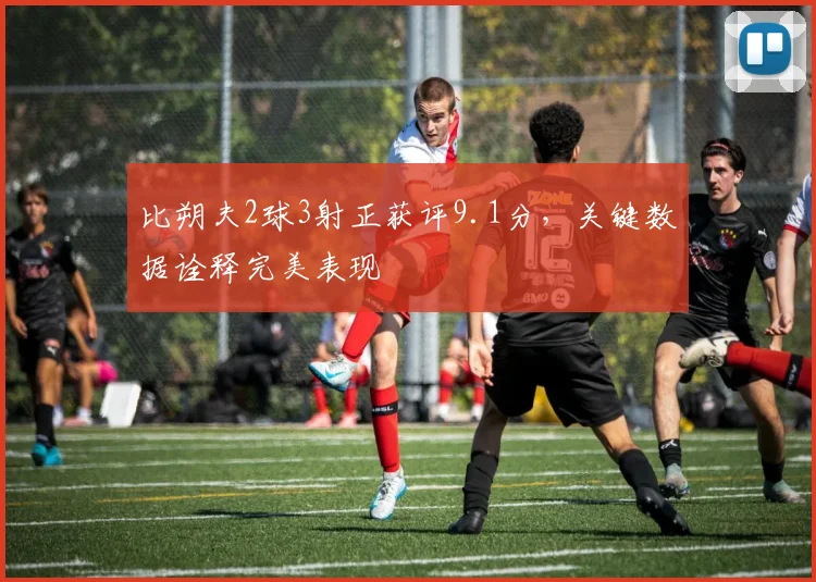 比朔夫2球3射正获评9.1分，关键数据诠释完美表现