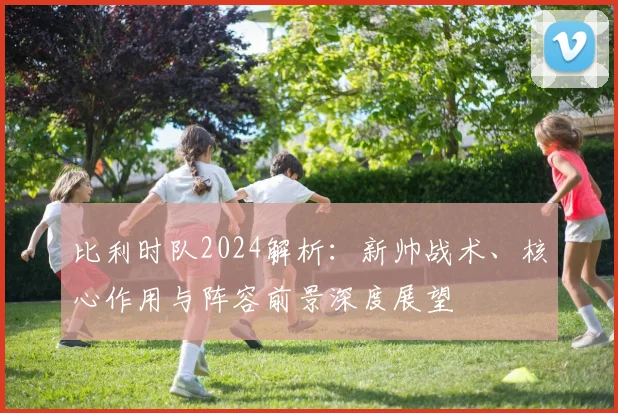 比利时队2024解析:新帅战术、核心作用与阵容前景深度展望